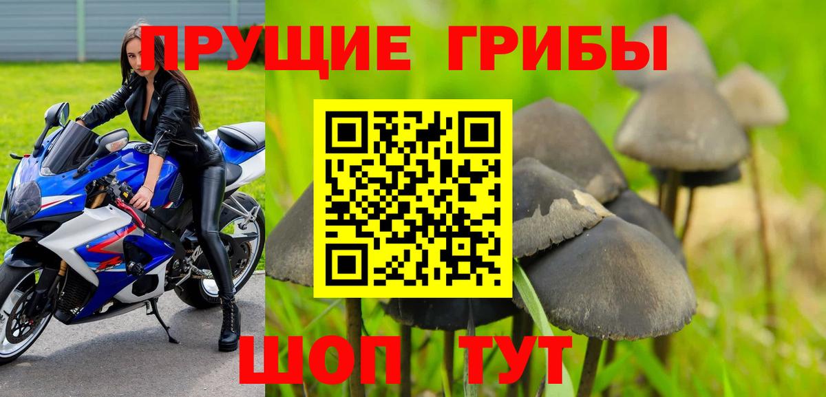 Галлюциногенные грибы мицелий  Псилоцибиновые грибы мухоморы  продажа наркотиков  Вход с VPN  Миллерово 